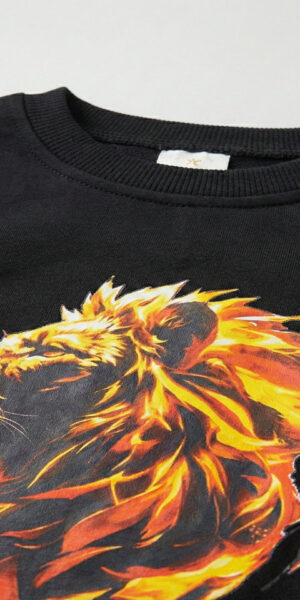 Aslan_Siyah_2_result